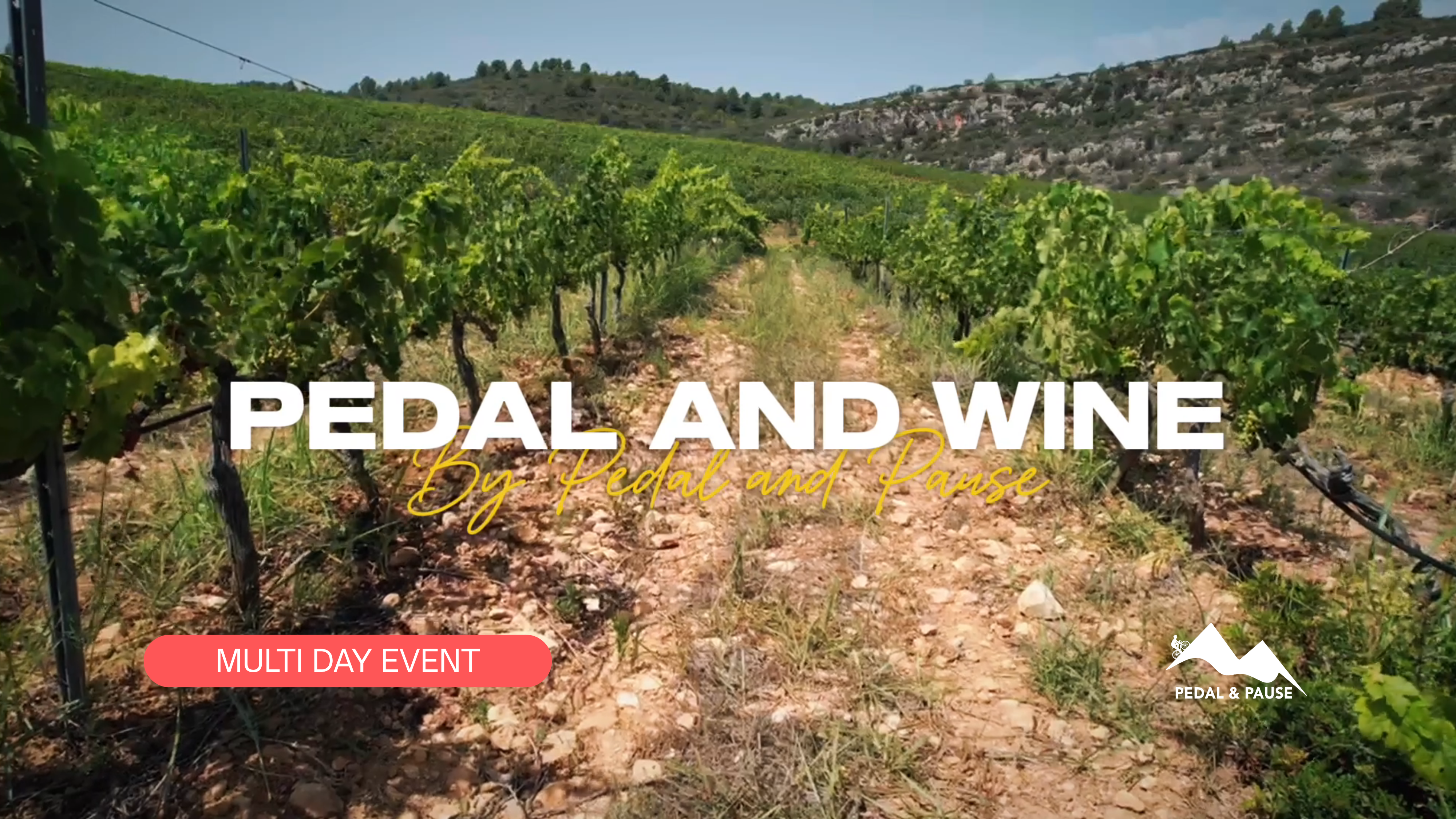 Pedal and Wine — vineyards, by Pedal & Pause